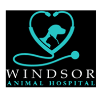 Windsor Animal Hospital