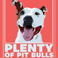 Plenty of Pit Bulls