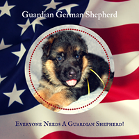 Guardian German Shepherd