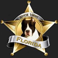 Florida Amstaff