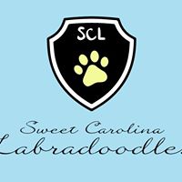 Sweet Carolina Labradoodles