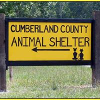 Cumberland County Animal Shelter – Crossville, TN