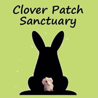 Clover Patch Sanctuary