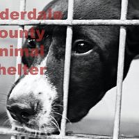 Lauderdale County Animal Shelter