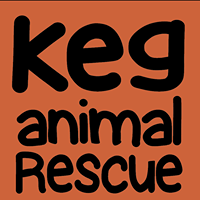 KEG Animal Rescue