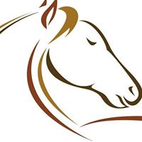 Calusa Equine Veterinary Services, LLC