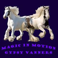 Magic In Motion Vanners