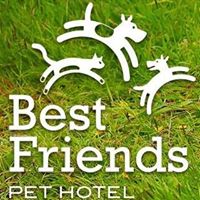 Best Friends Pet Care at Walt Disney World Resort