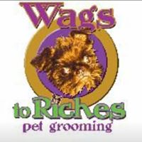 Wags to Riches Pet Grooming