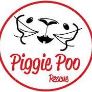 Arizona’s Piggie Poo Rescue, Inc.