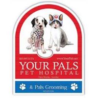 Your Pals Pet Hospital