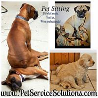 Pet Service Solutions