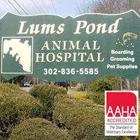 LUMS POND ANIMAL HOSPITAL