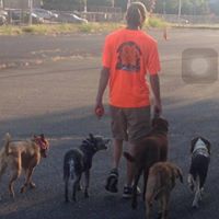 Delaware Dog Trainers: Off Leash K9 Training Wilmington/Newark