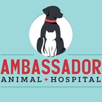 Ambassador Animal Hospital