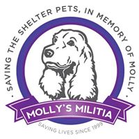 Molly’s Militia