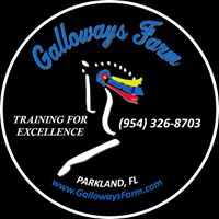 Galloways Farm – Dressage Training, Showing & Boarding