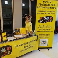 Fur to Feathers Pet Sitting Service