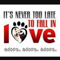 Union County SC Animal Shelter