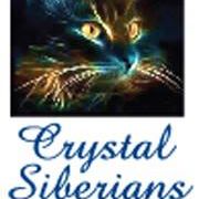 Crystal Siberians