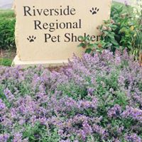 Riverside Regional Pet Shelter/Friends of BENCHS