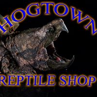 Hogtown Reptile Shop Inc.