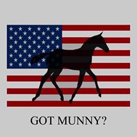Muny Sunk Stables, Inc