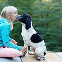 Salem Manor Australian Labradoodles