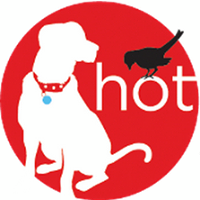 Hot Diggity! Dog Walking and Pet Sitting Services