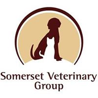 Somerset Veterinary Group