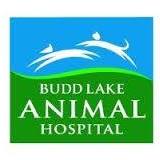 Budd Lake Animal Hospital