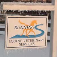 Running ‘S’ Equine Veterinary Services