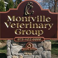 Montville Veterinary Group, LLC