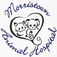 Morristown Animal Hospital