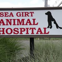 Sea Girt Animal Hospital