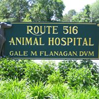 Rt 516 Animal Hospital