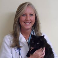 Feline Medical Center