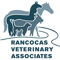 Rancocas Veterinary Associates