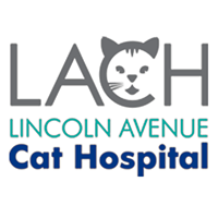 Lincoln Avenue Cat Hospital