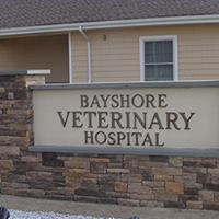 Bayshore Veterinary Hospital