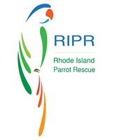 Rhode Island Parrot Rescue