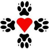 Four Paws Rescue-Logan, Utah-The Cats Lair