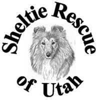 Sheltie Rescue of Utah