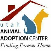 Utah Animal Adoption Center