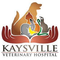 Kaysville Veterinary Hospital