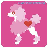 Sugar Plum Grooming