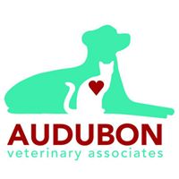 Audubon Veterinary Associates