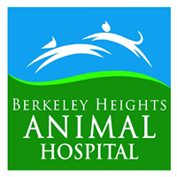 Berkeley Heights Animal Hospital