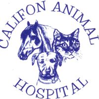 Califon Animal Hospital