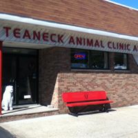 Teaneck Animal Clinic and Spa